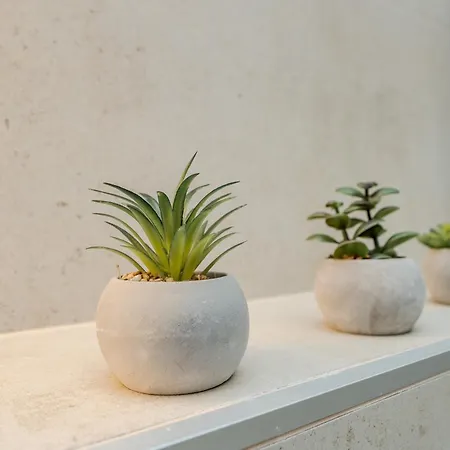 New Luxury With Private Pool - By Ta Leut Agency