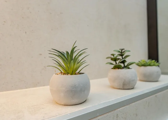 New Luxury With Private Pool - By Ta Leut Agency